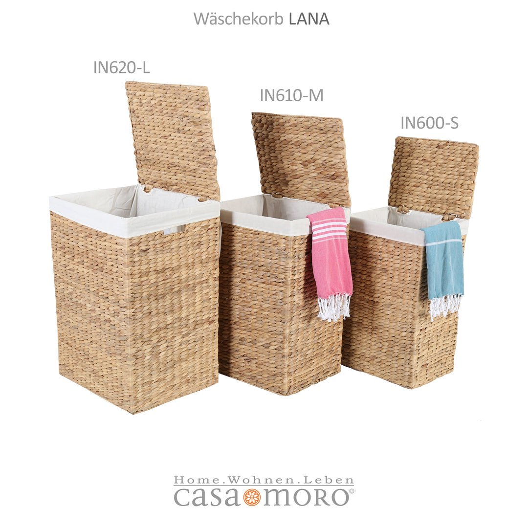 Wasmand Lana M